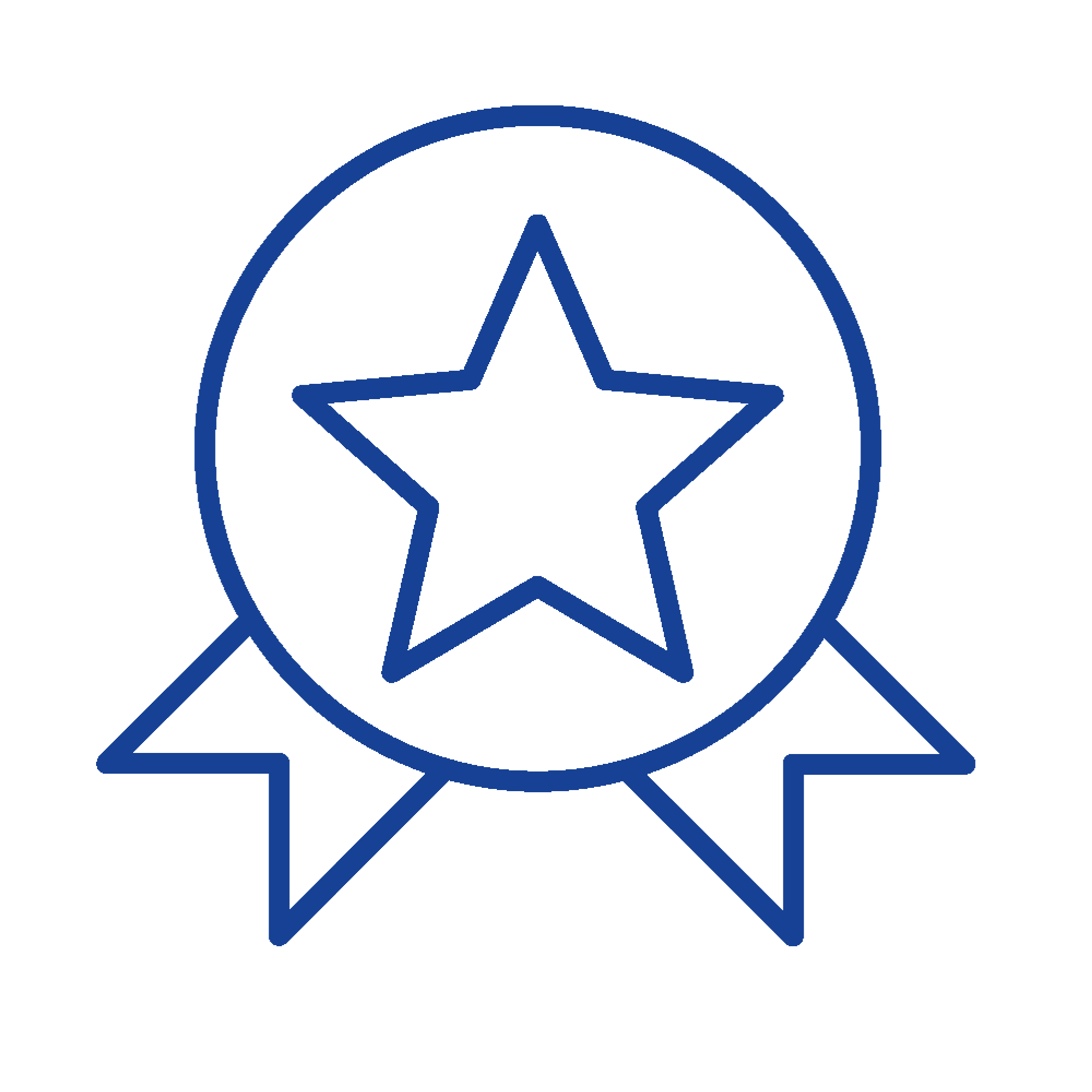 Medal Kopie_b.png