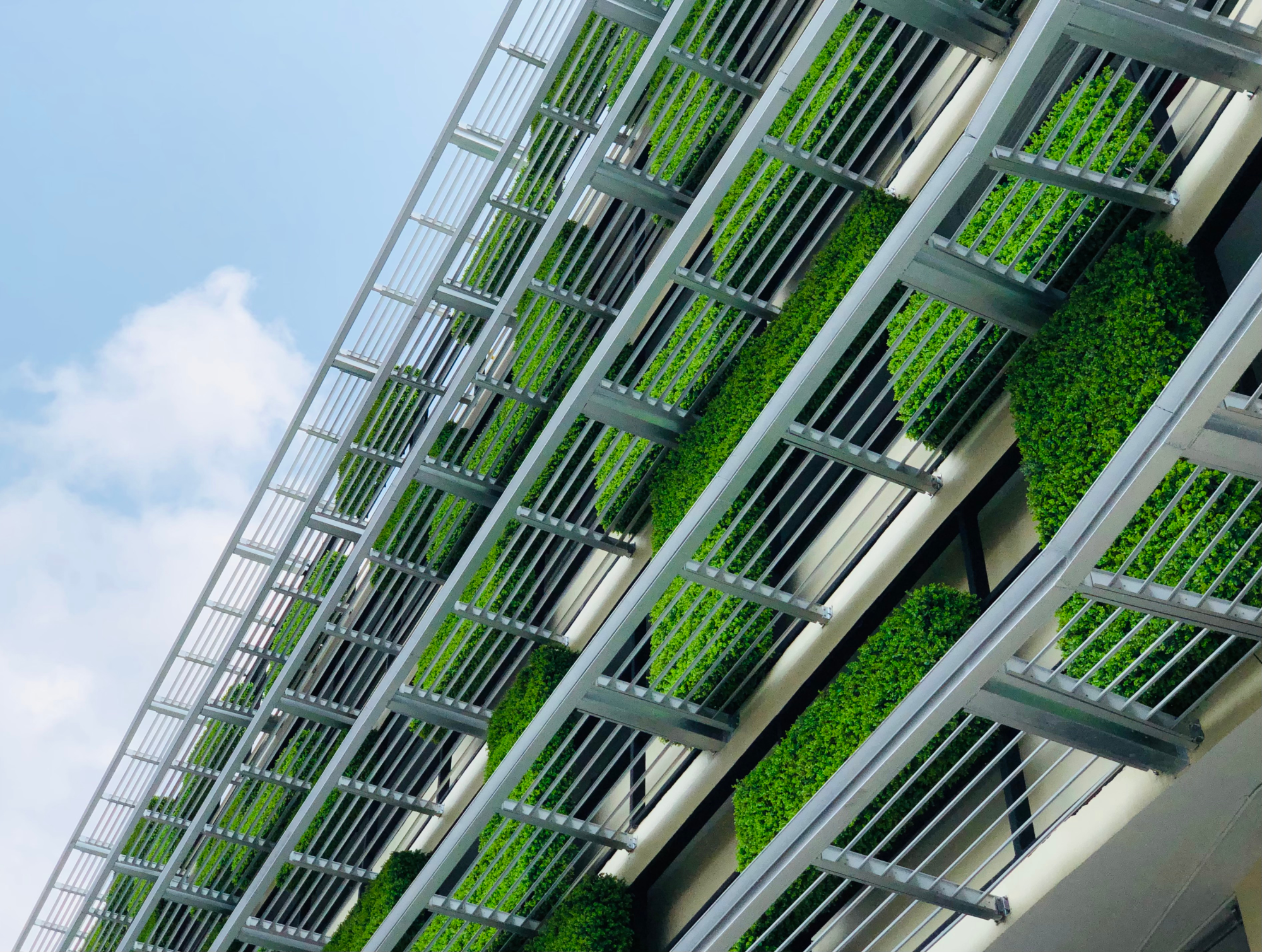 Green house wall with vertical façade garden for passive cooling in the city centre