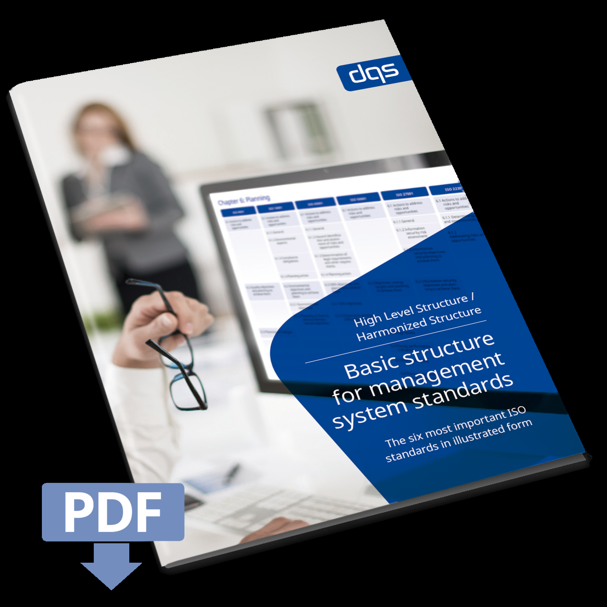 high level structure-dqs-whitepaper cover