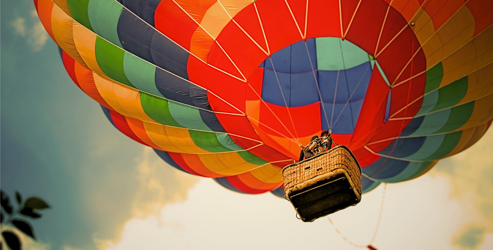 Header image for the Certify overview page.