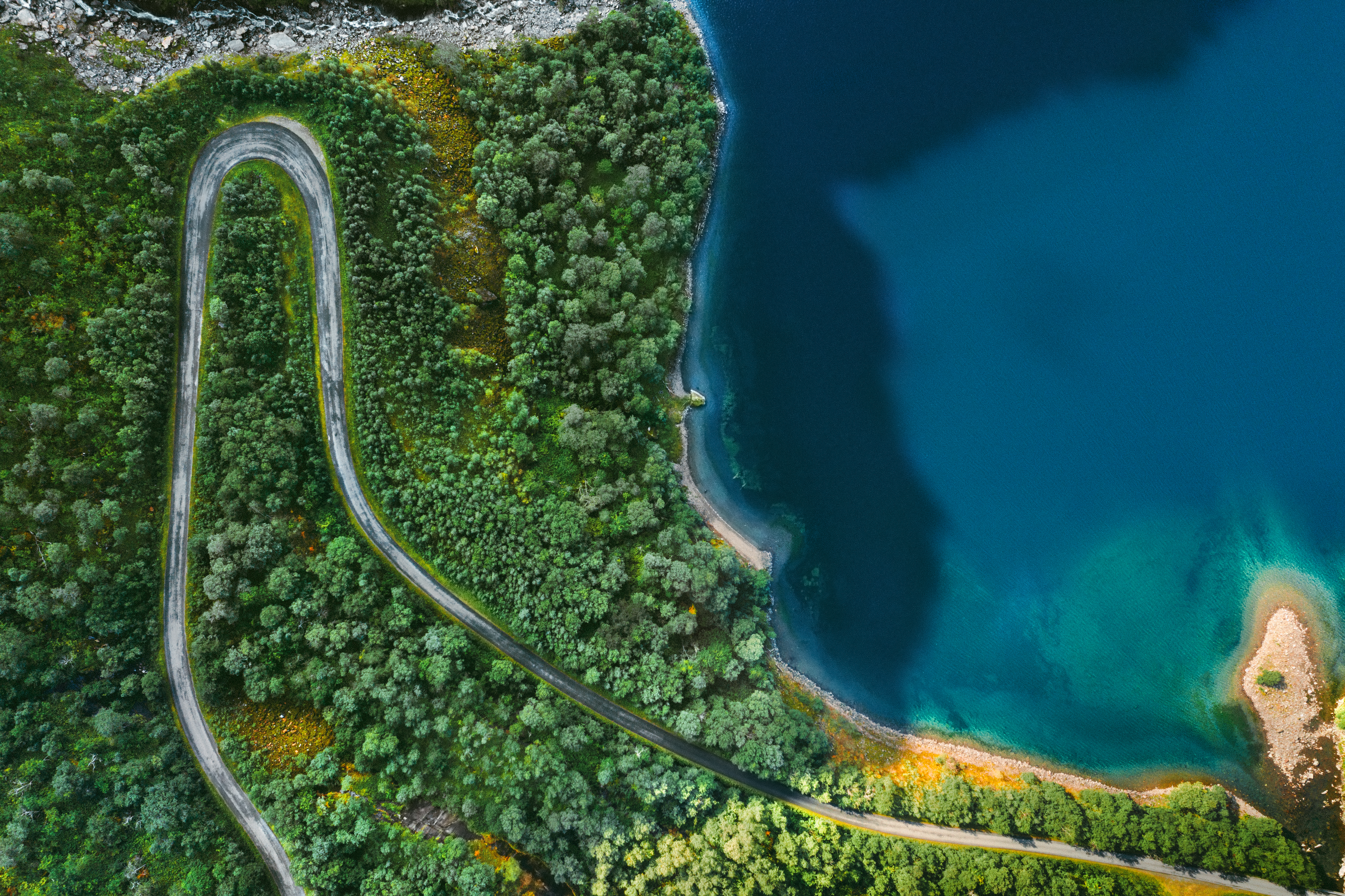 nachhaltigkeit-about-dqs-luftaufnahme von strand und wald