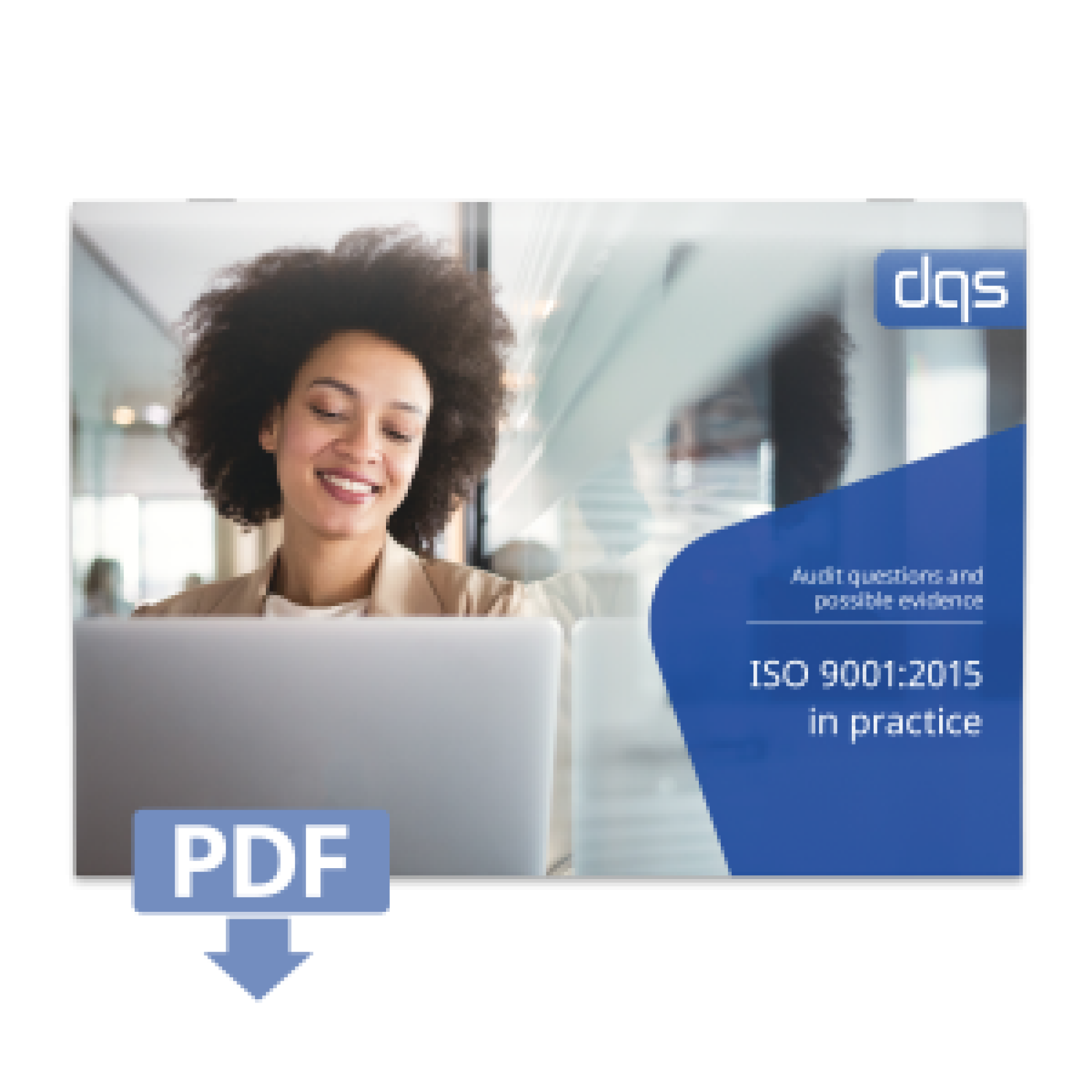 ISO 9001 Audit Guideline Whitepaper