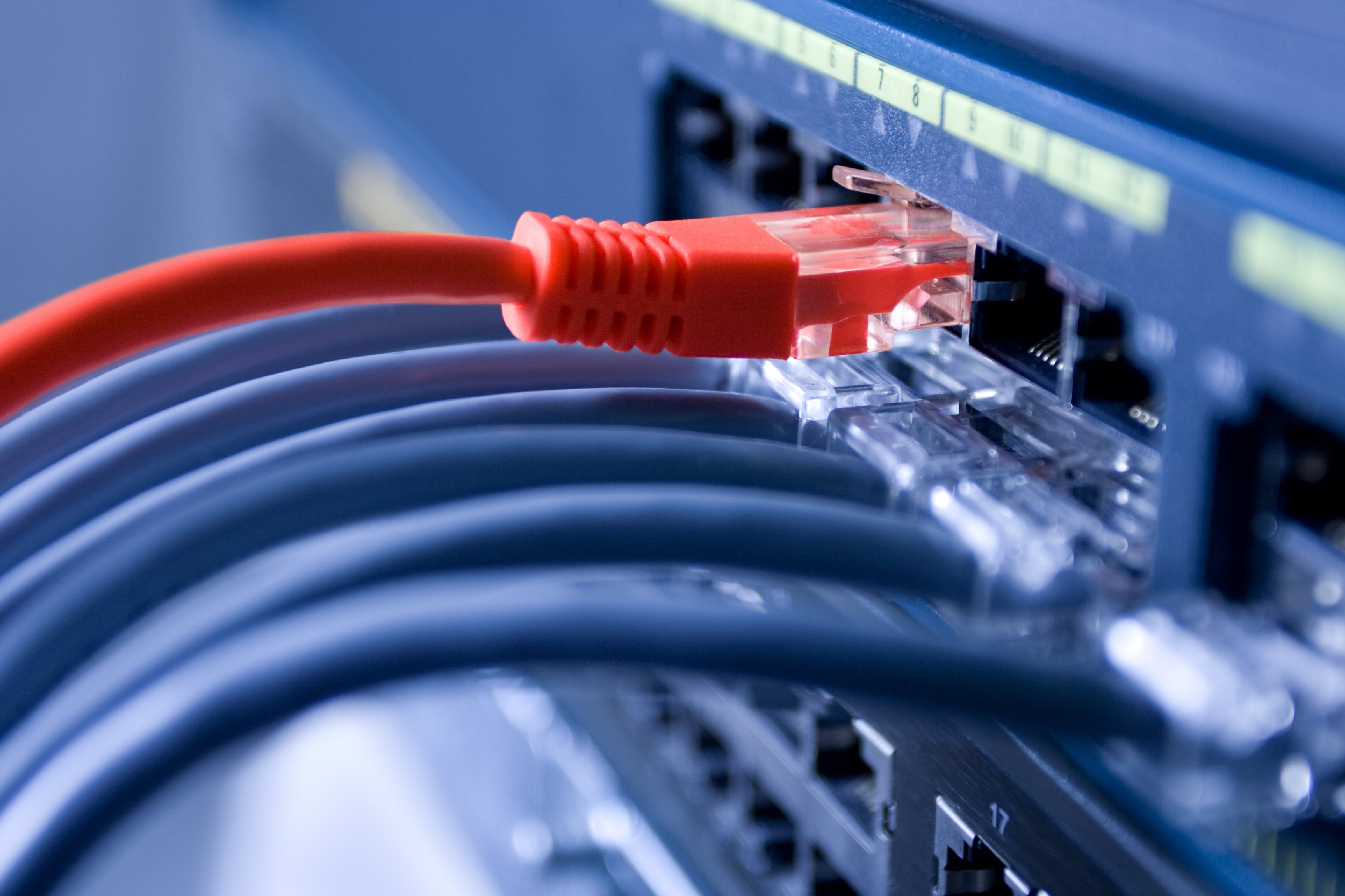 informationssicherheit-dqs-mehrere blaue angeschlossene internetkabel und ein rotes das dominiert