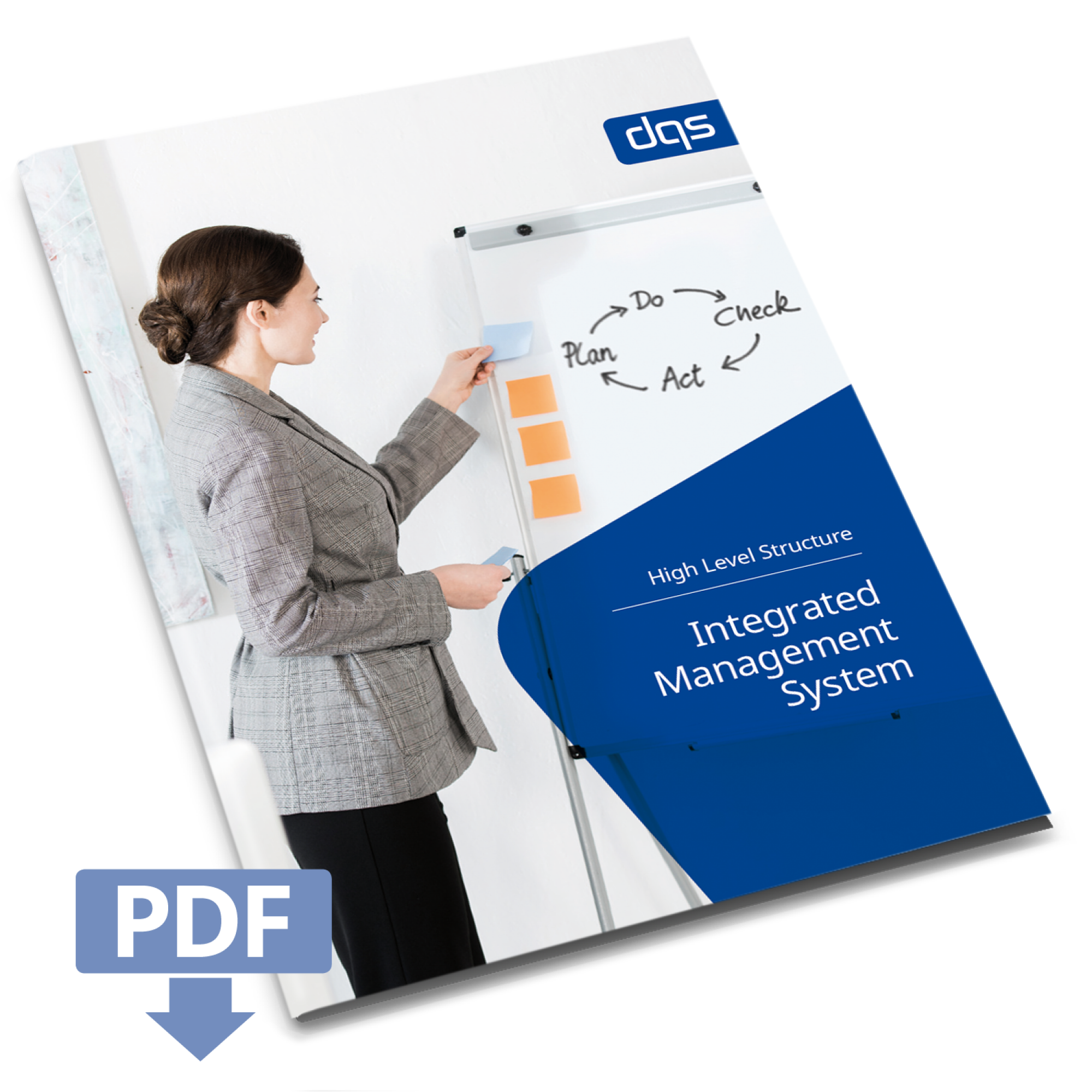 integrated management system-dqs-whitepaper cover
