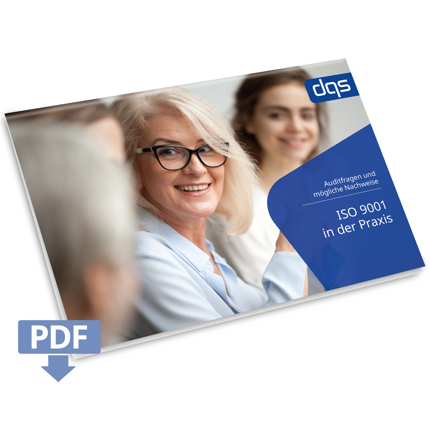 iso-9001-auditleitfaden-dqs-kostenfrei