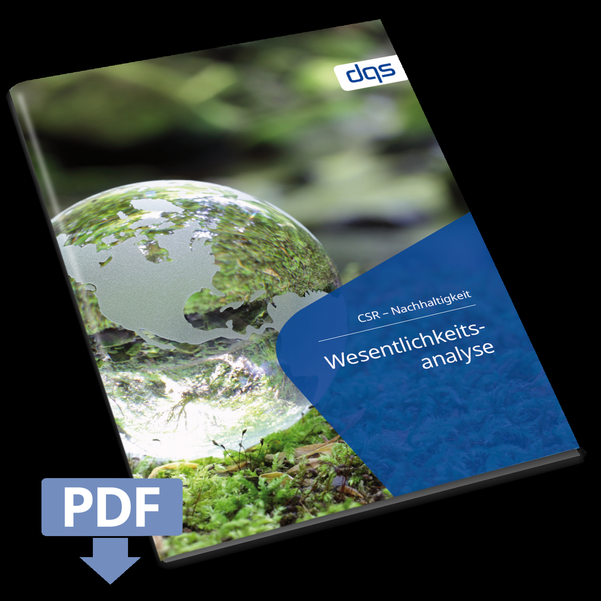 Cover sheet for German whitepaper CSR materiality analysis with pdf 