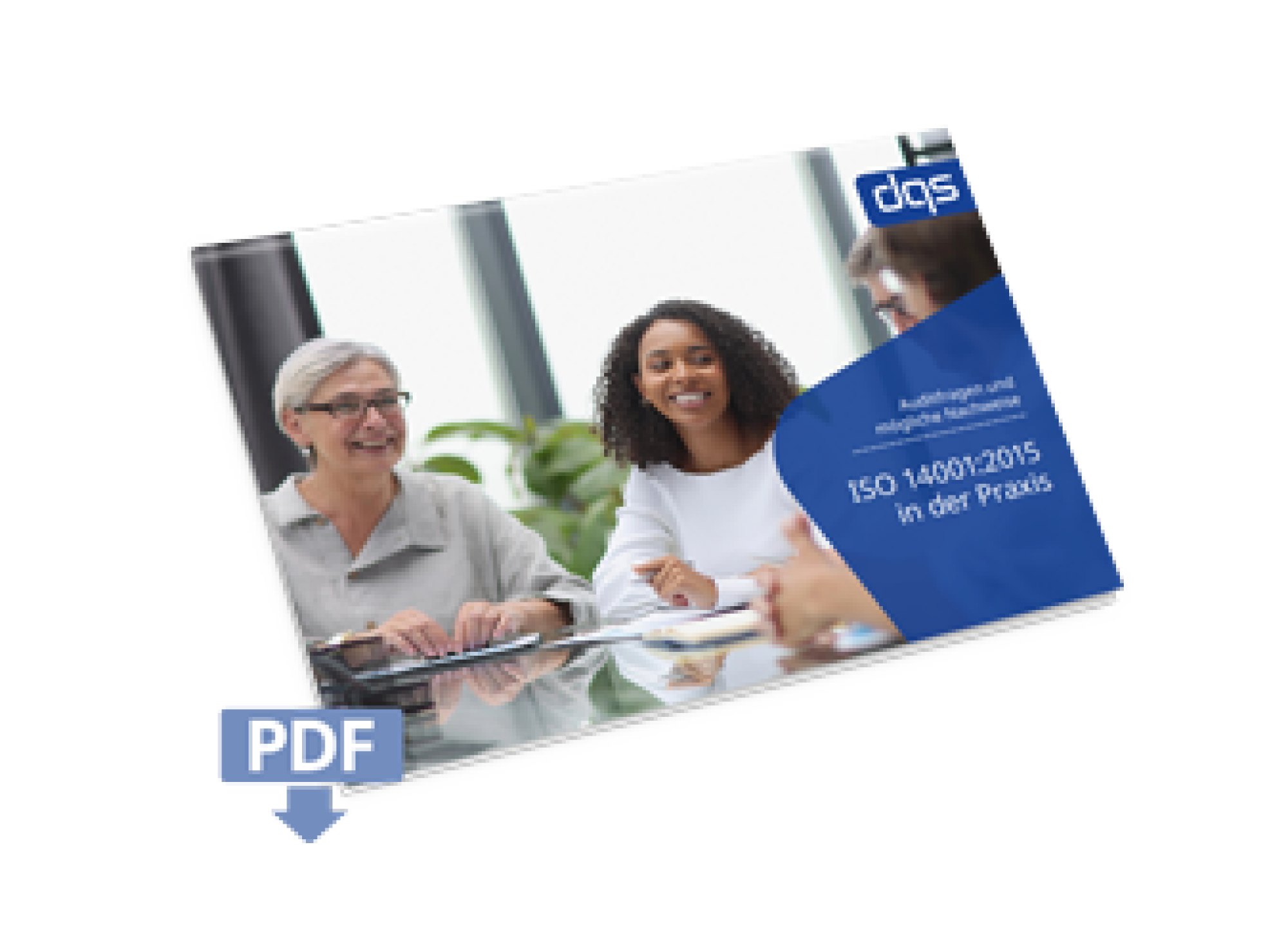 cover sheet for the german white paper iso 14001 audit guide with pdf