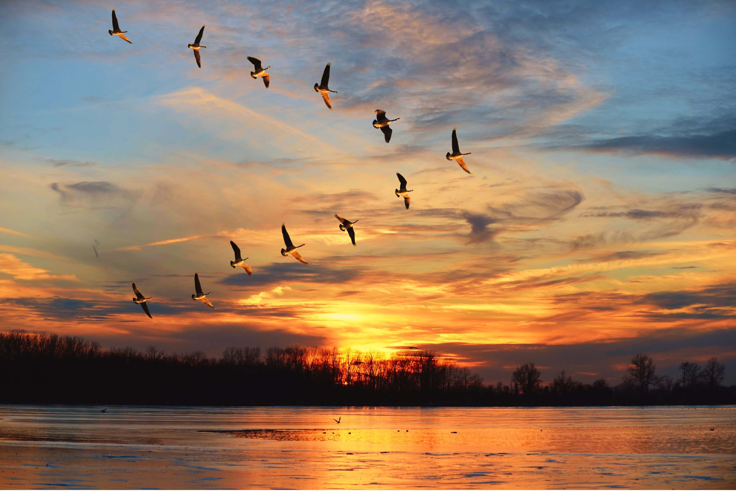 Expertise You Can Trust