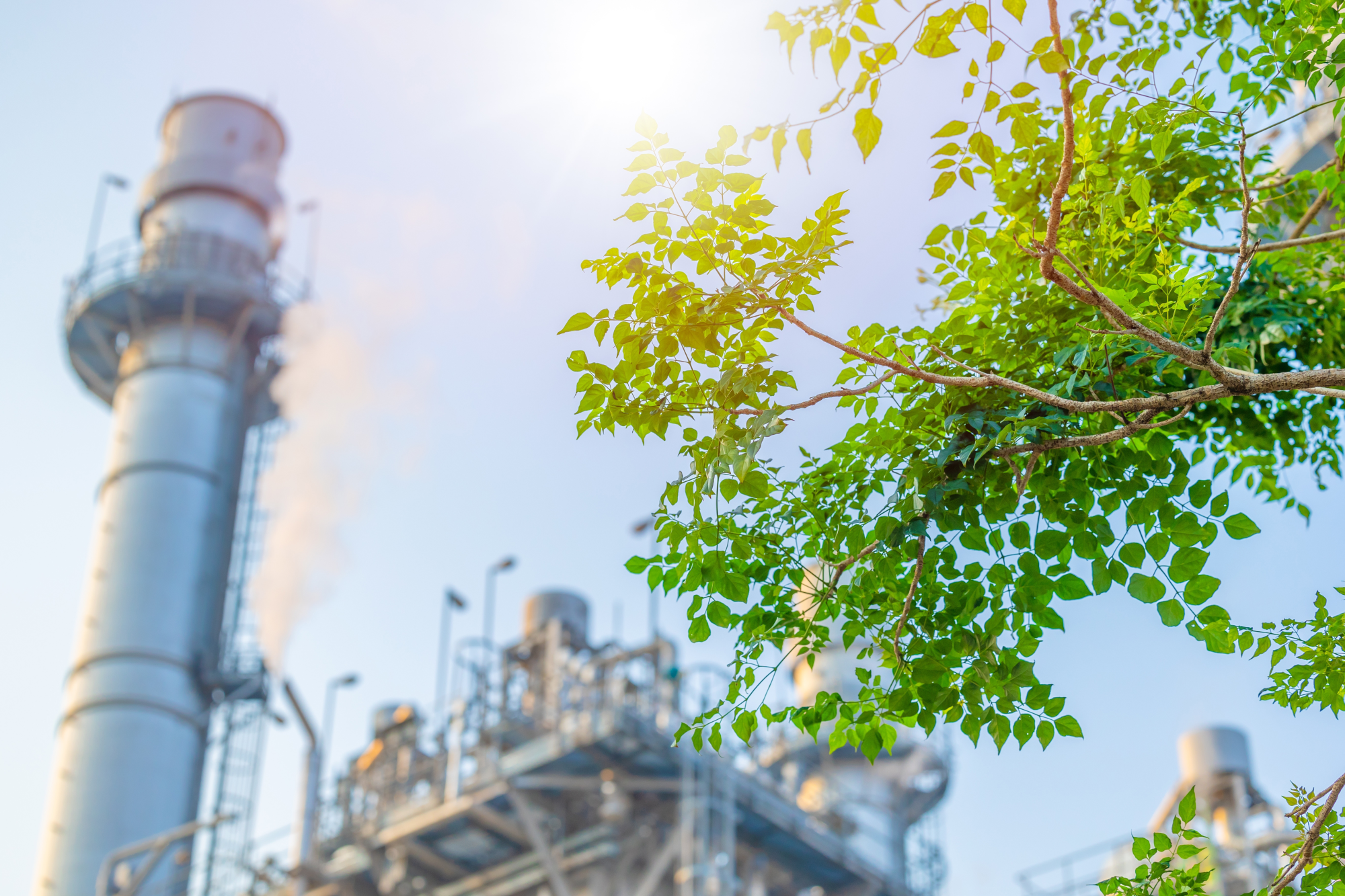 iso-14067-verification-dqs-production plant in the green with leaves in the foreground