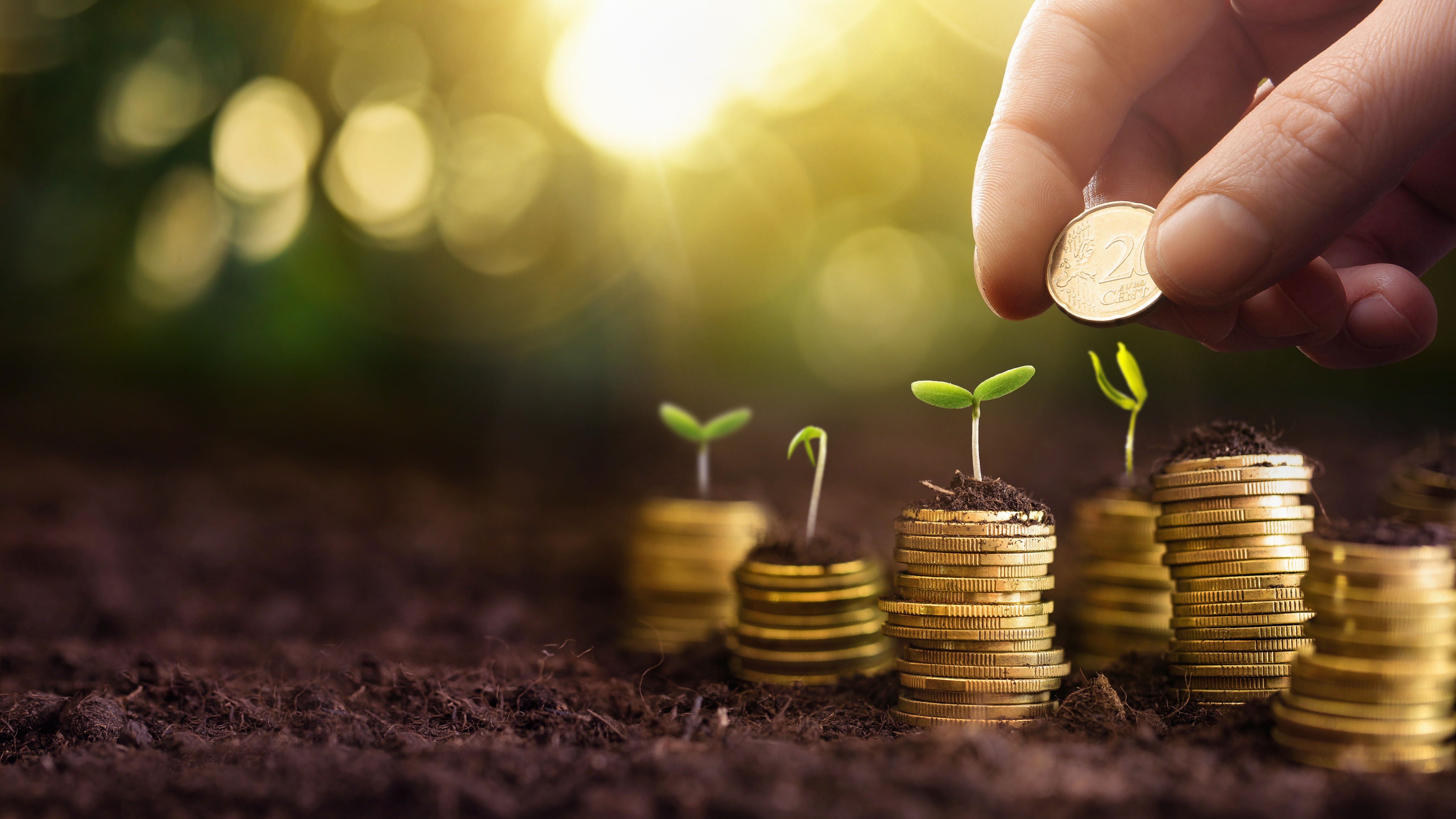 Nachhaltigkeitsberichte ESG