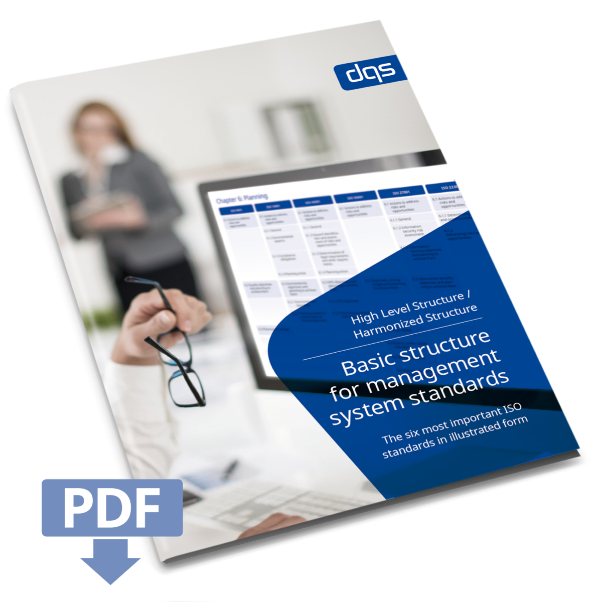 high level structure-dqs-whitepaper cover