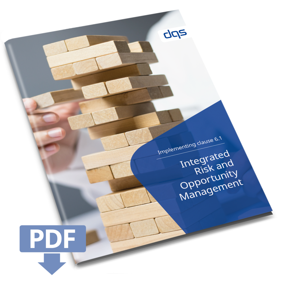 cover sheet for white paper IROM, integrated risk and opportunity management, with pdf