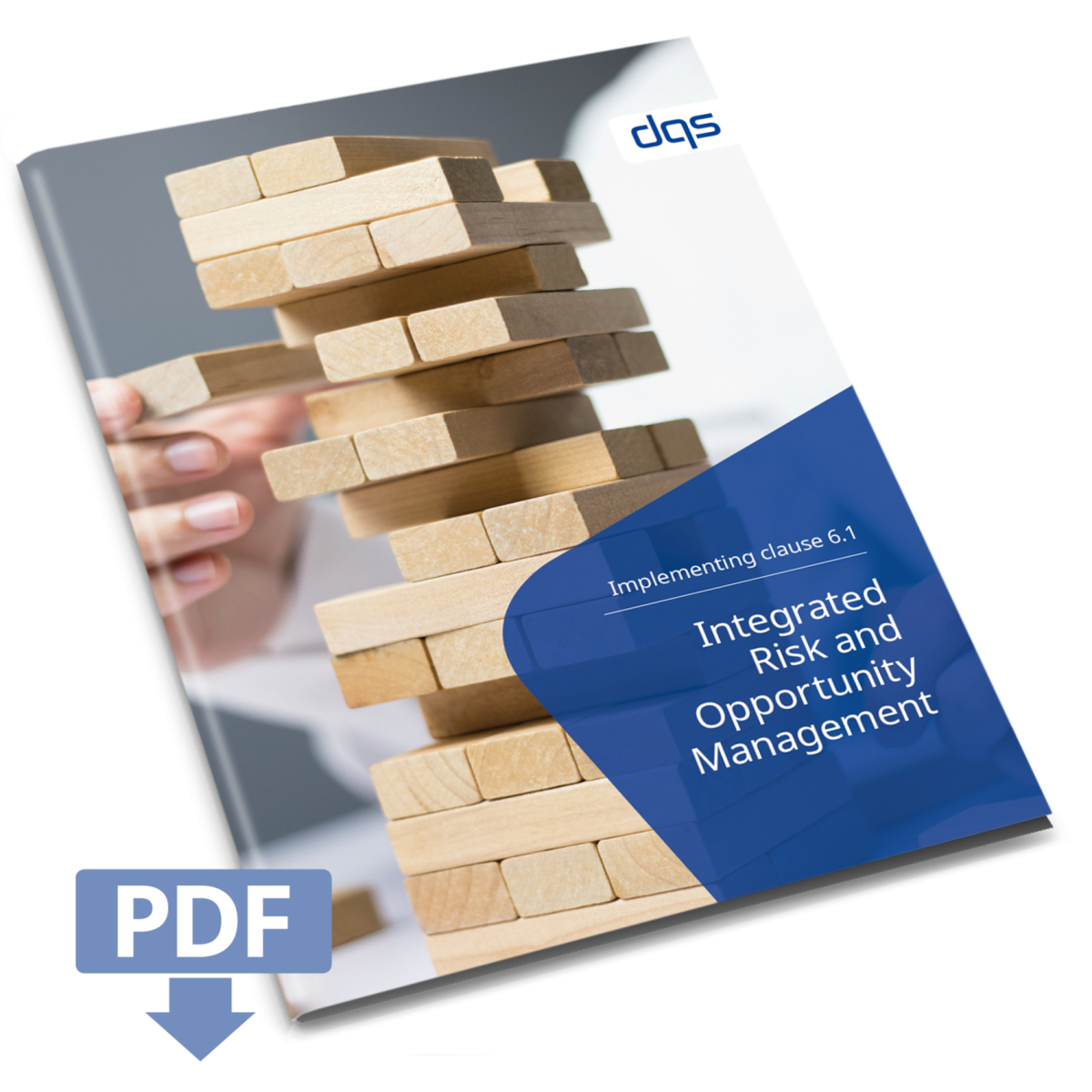 cover sheet for white paper IROM, integrated risk and opportunity management, with pdf