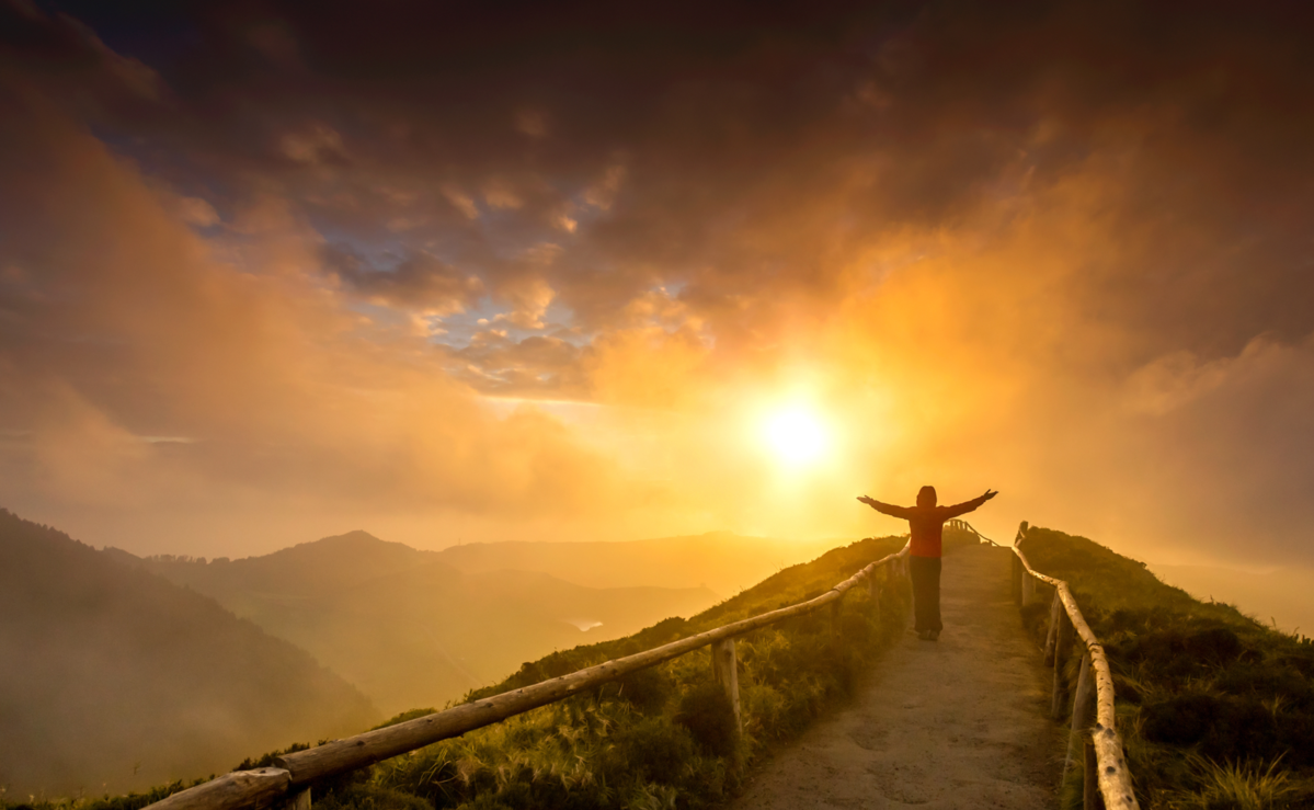 FDA Path Medical Devices