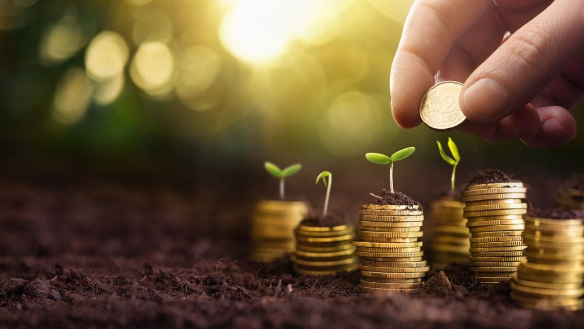 Investment Concept. Plant Growing In Savings Coins Money. Business Development