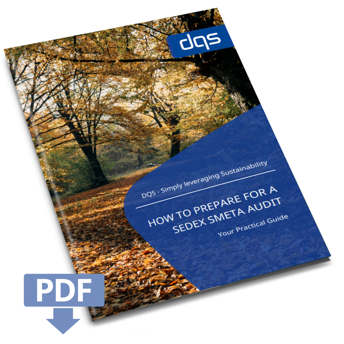 Sedex Whitepaper Vorschaubild English