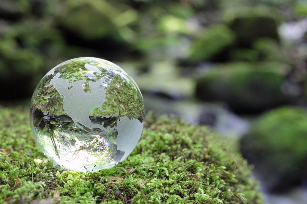 materiality-analysis-dqs-crystal ball with trees