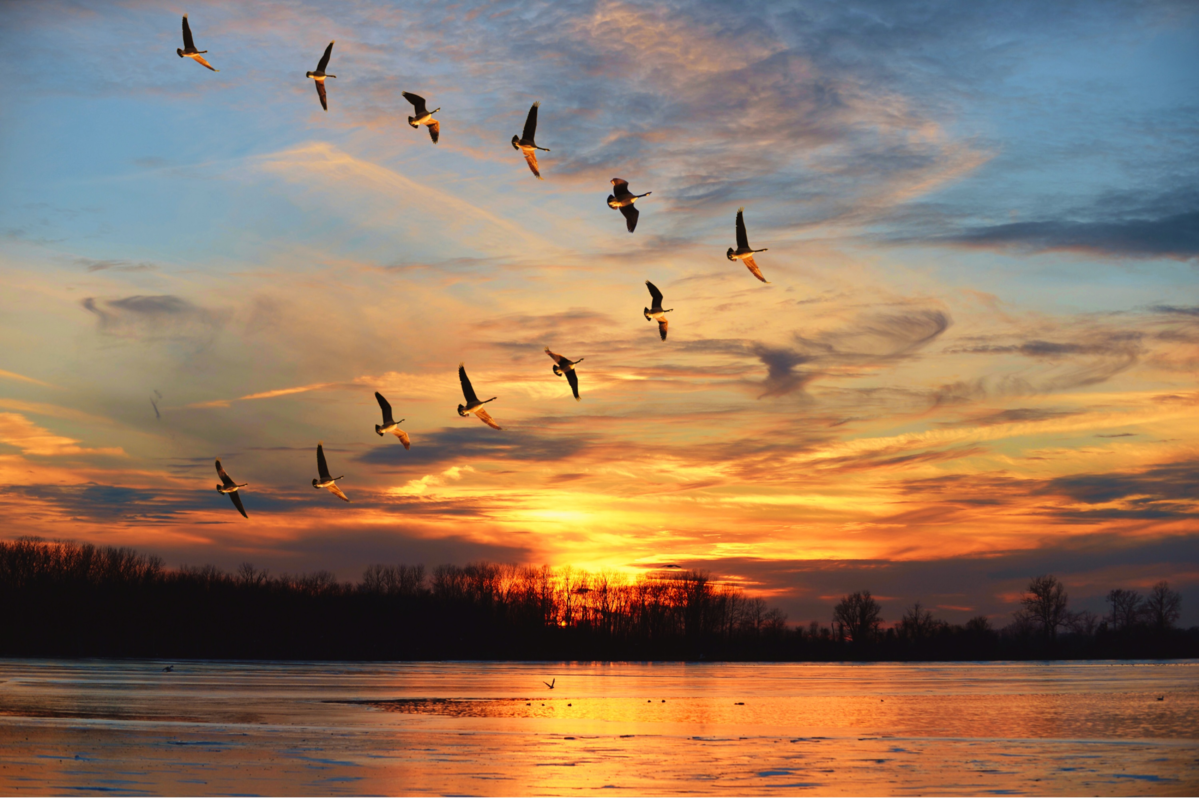 Expertise You Can Trust