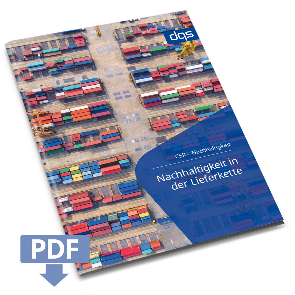 nachhaltigkeit-lieferkette-dqs-whitepaper-kostenfrei