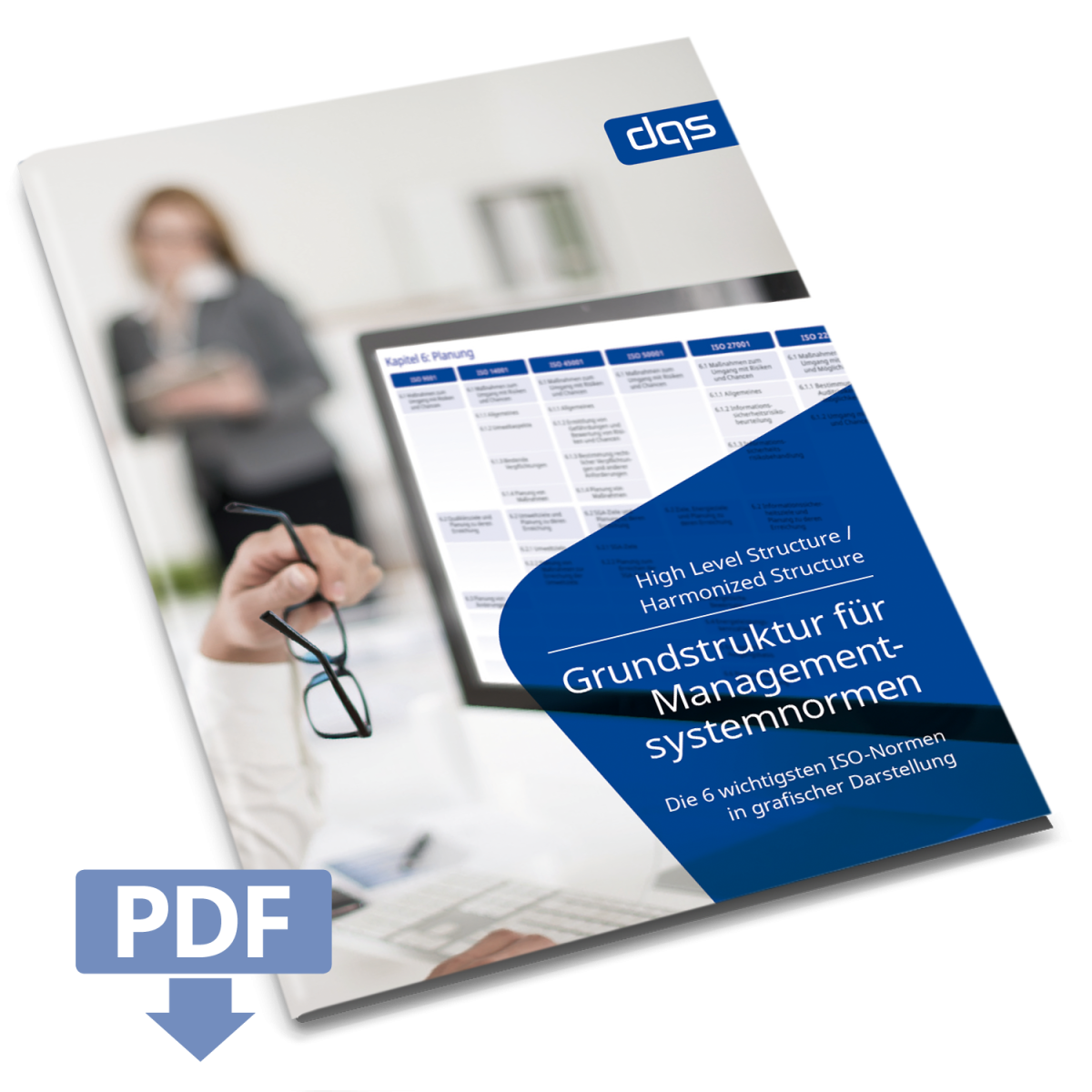 high-level-structure-iso-normen-dqs-whitepaper-kostenfrei.png