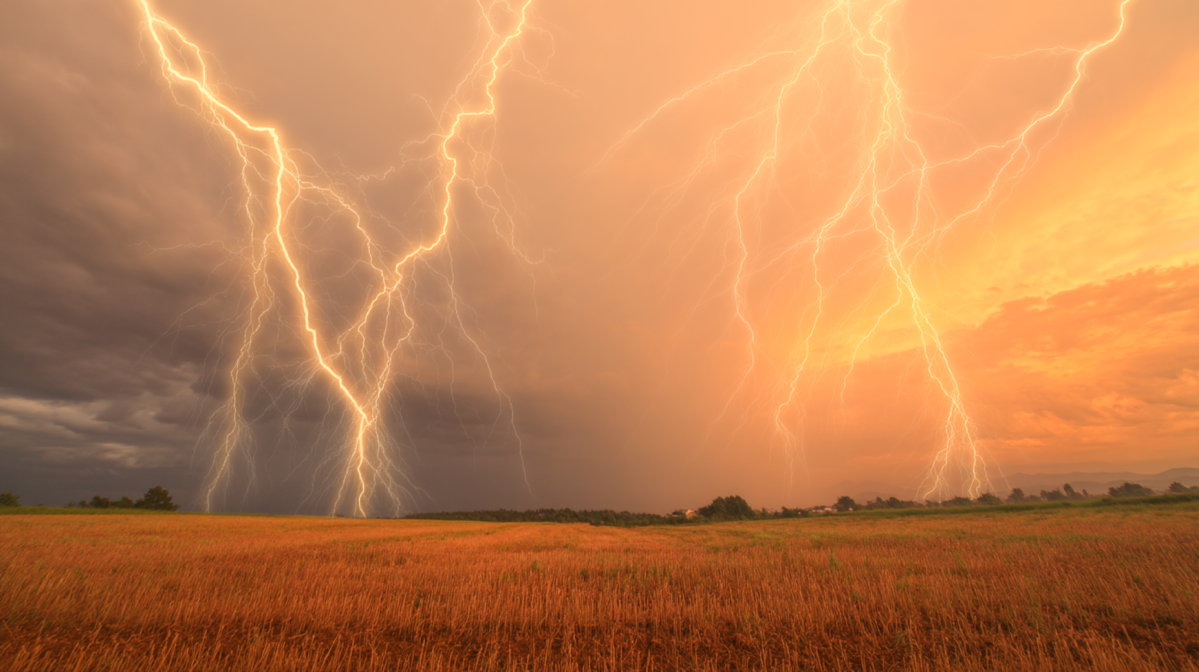 MED FDA 483: Improve Your QMS with FDA Inspection Insights