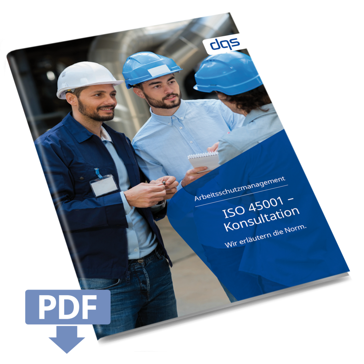 Cover sheet for German whitepaper ISO 45001 consultation with pdf 