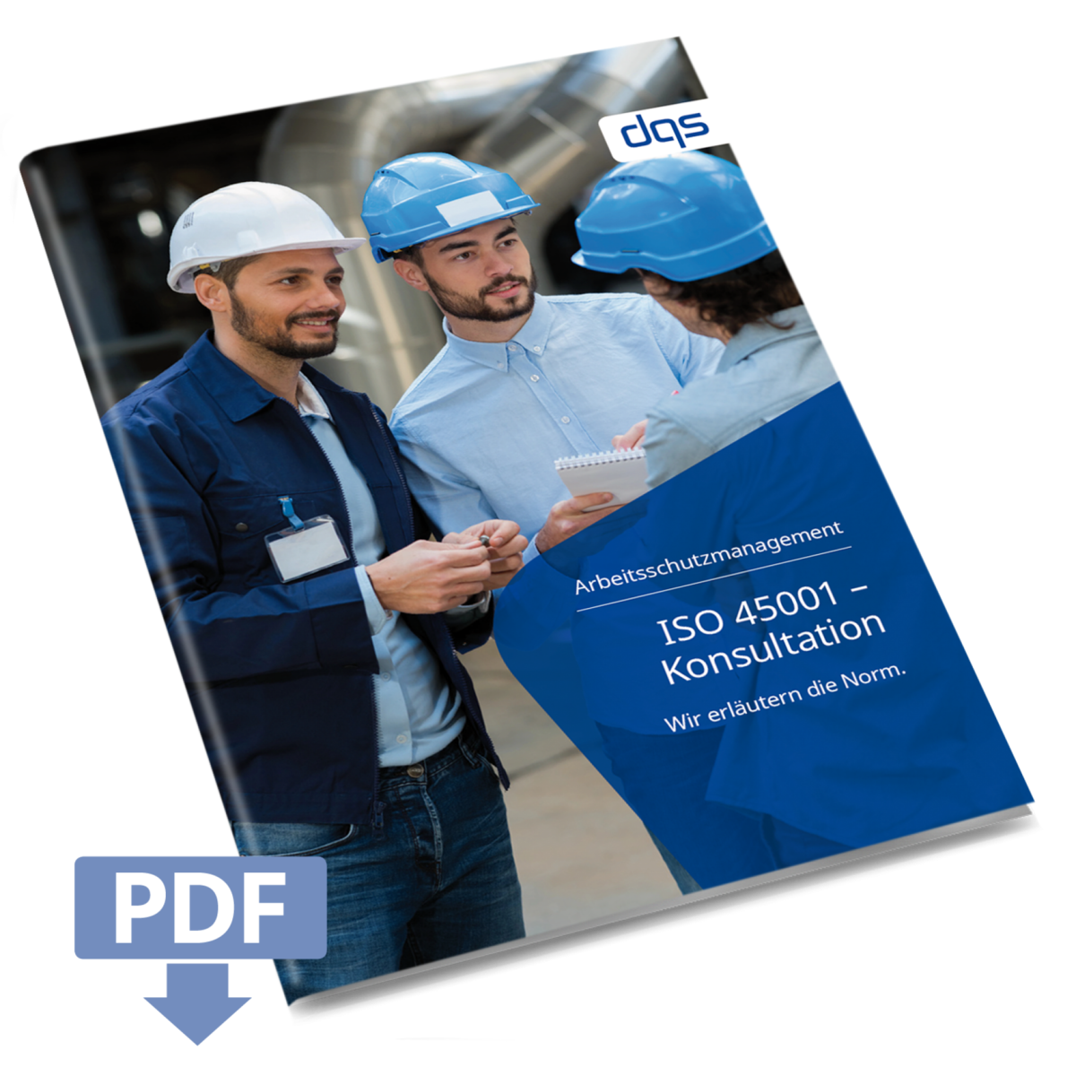 Cover sheet for German whitepaper ISO 45001 consultation with pdf 