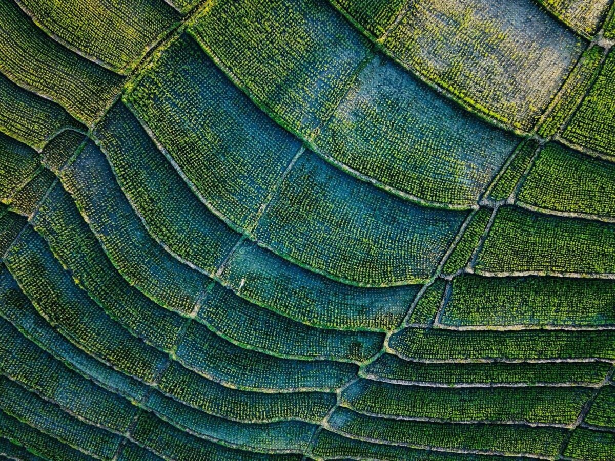 Field view from above