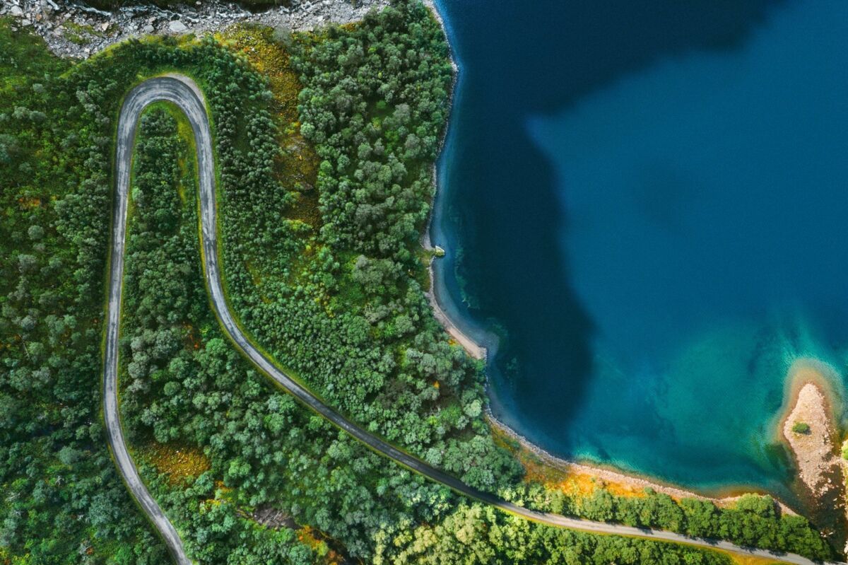 sustainability-about-dqs-aerial view of the beach and forest