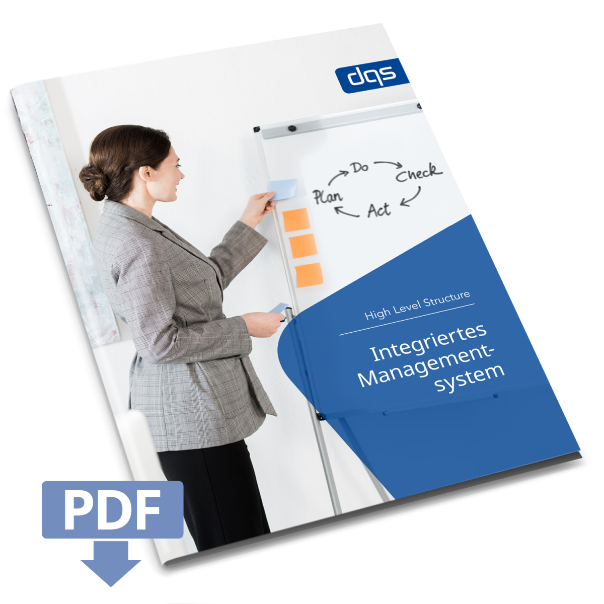 integriertes-managementsystem-dqs-whitepaper-kostenfrei