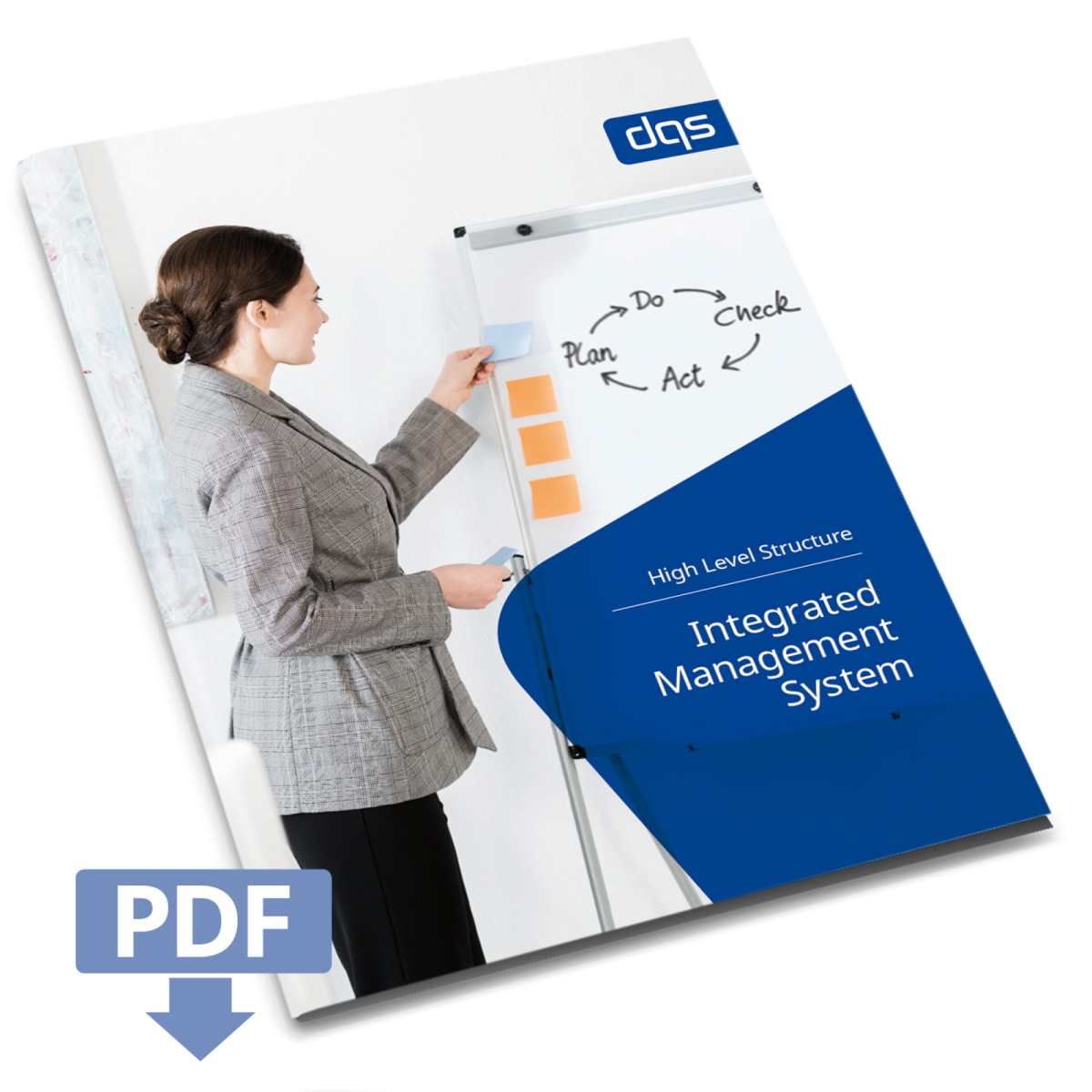 integrated management system-dqs-whitepaper cover
