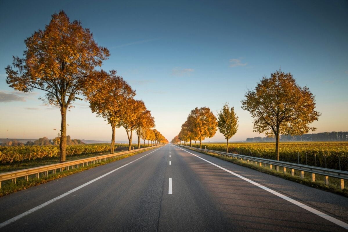 Road automotive autumn
