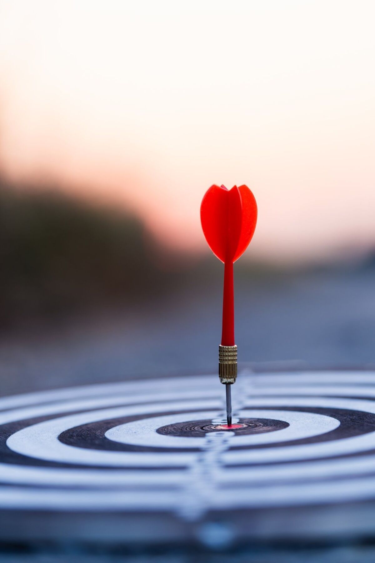 dqs-dart hits the center of a dart board