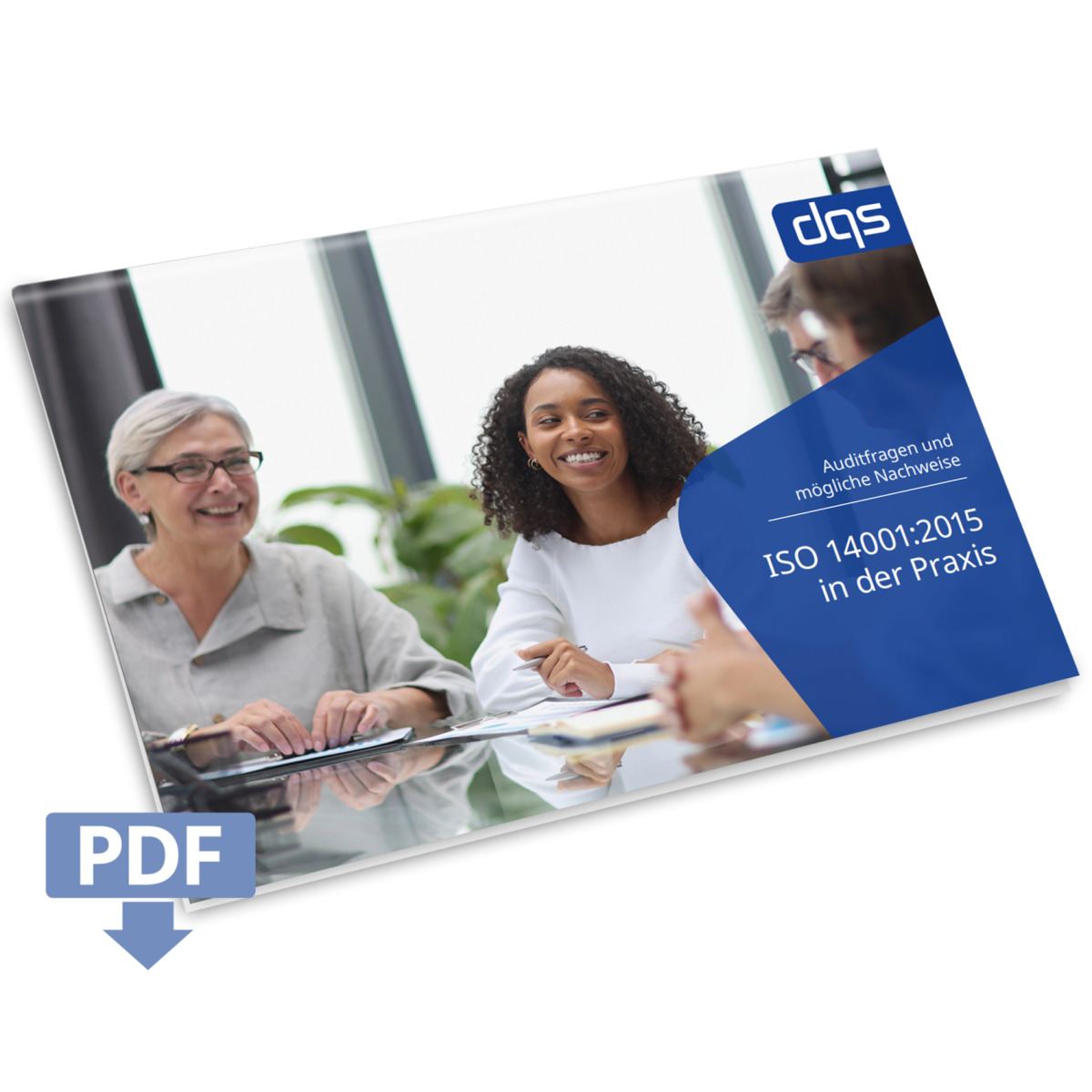 cover sheet for the german white paper iso 14001 audit guide with pdf