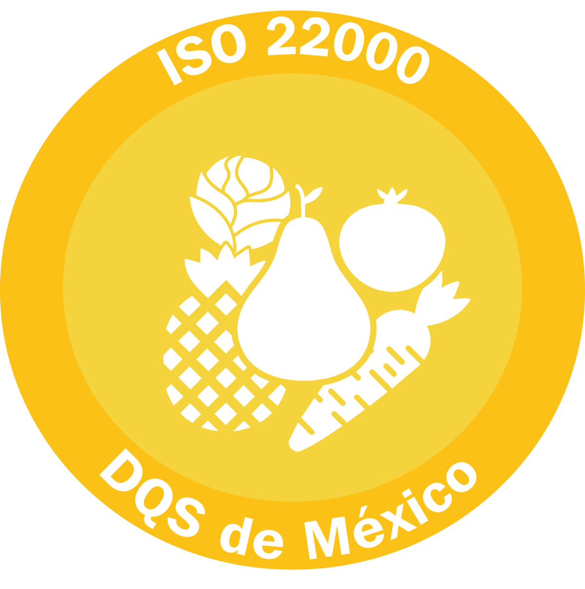 Certificación ISO 22000 DQS de México