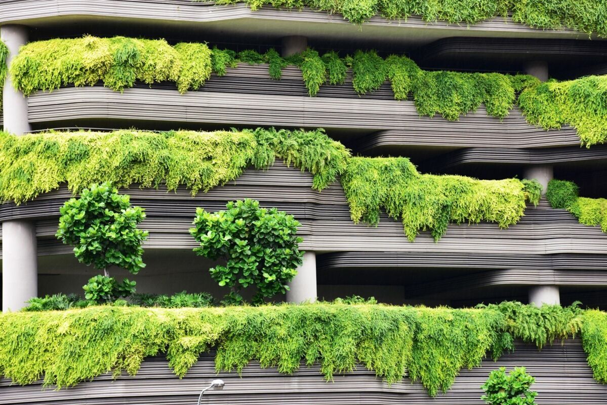 natural garden roofs in the city