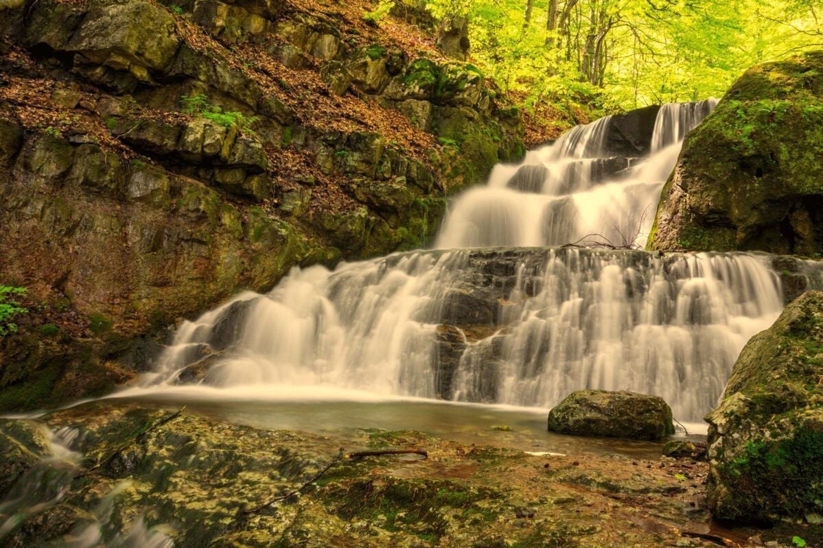 Cascading waterfall in the forest