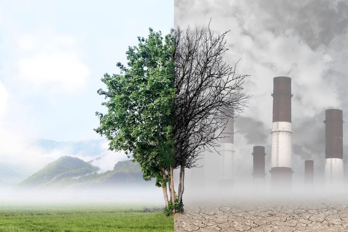 aspects-environment-iso14001-dqs-green tree in nature and withered tree in industry