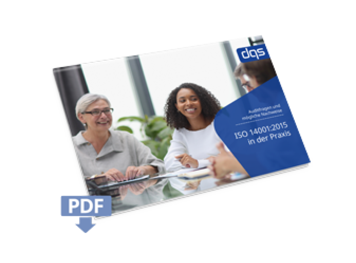 cover sheet for the german white paper iso 14001 audit guide with pdf