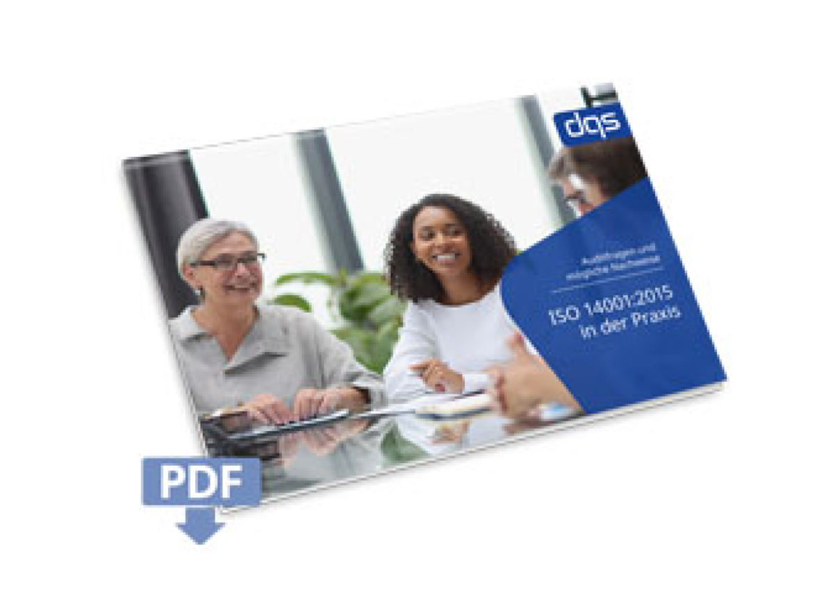 cover sheet for the german white paper iso 14001 audit guide with pdf