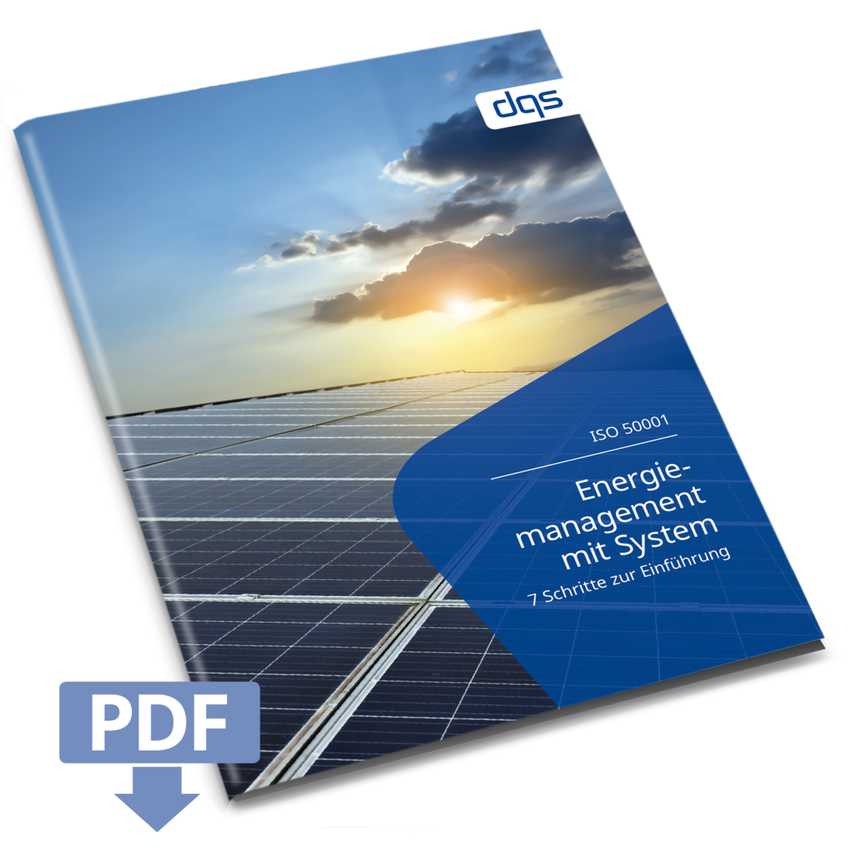 energiemanagement-einführen-dqs-whitepaper-kostenfrei