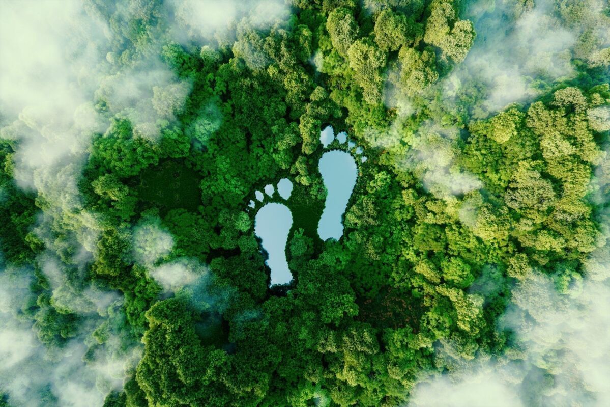 A lake in the shape of human footprints in the middle of a lush forest as a metaphor for the impact 