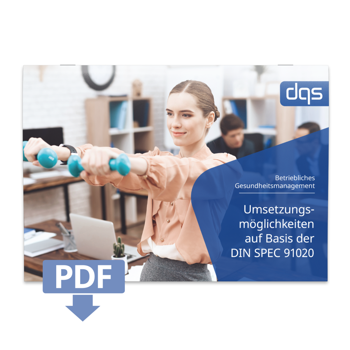 din-spec-91020-auditleitfaden-dqs-kostenfrei