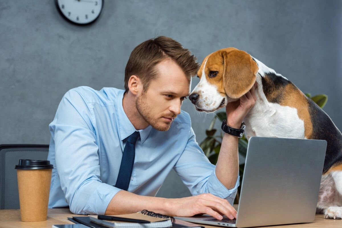 man working on his laptop while petting his dog