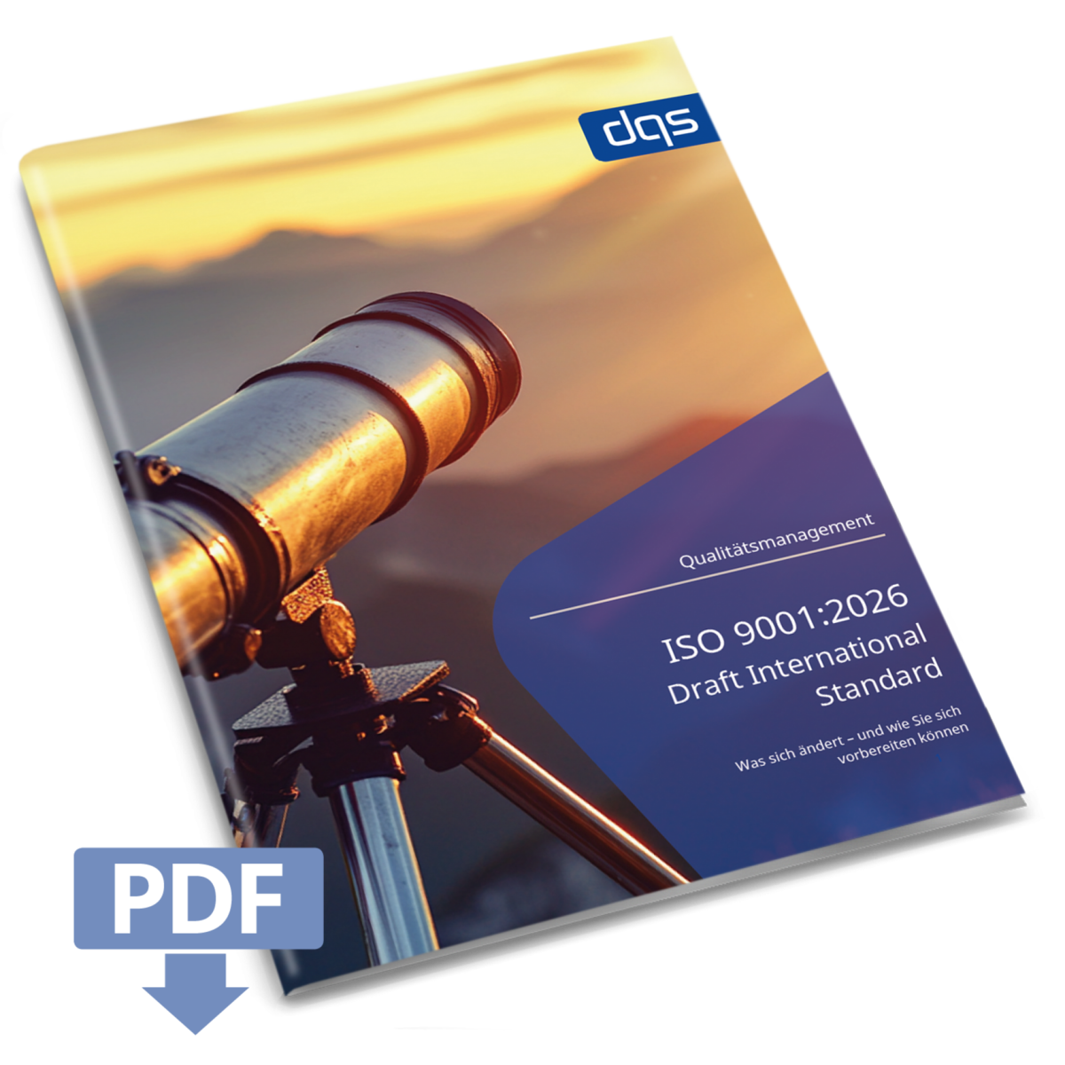 DQS White Paper on the DIS for the Revision of ISO 9001- German