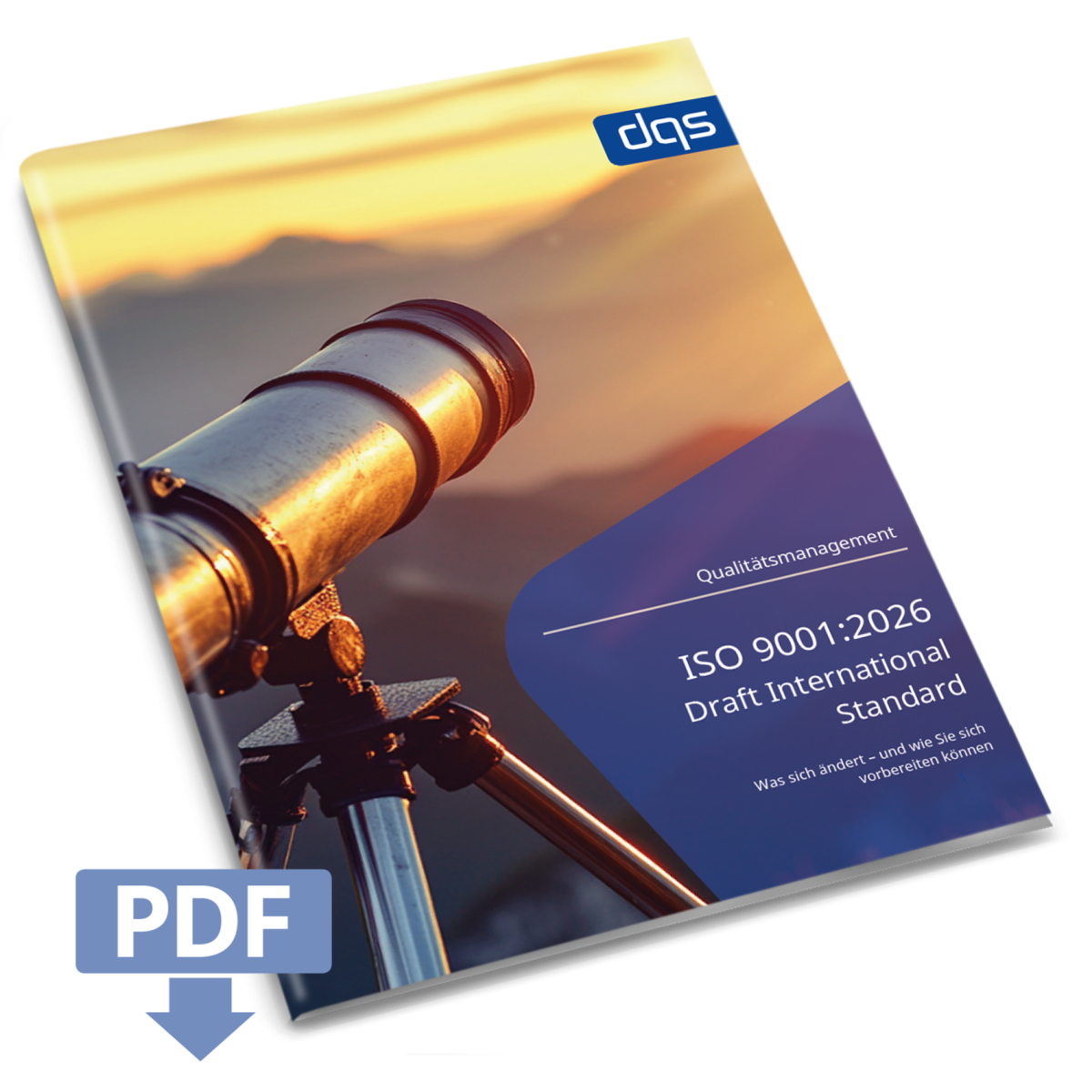 DQS White Paper on the DIS for the Revision of ISO 9001- German