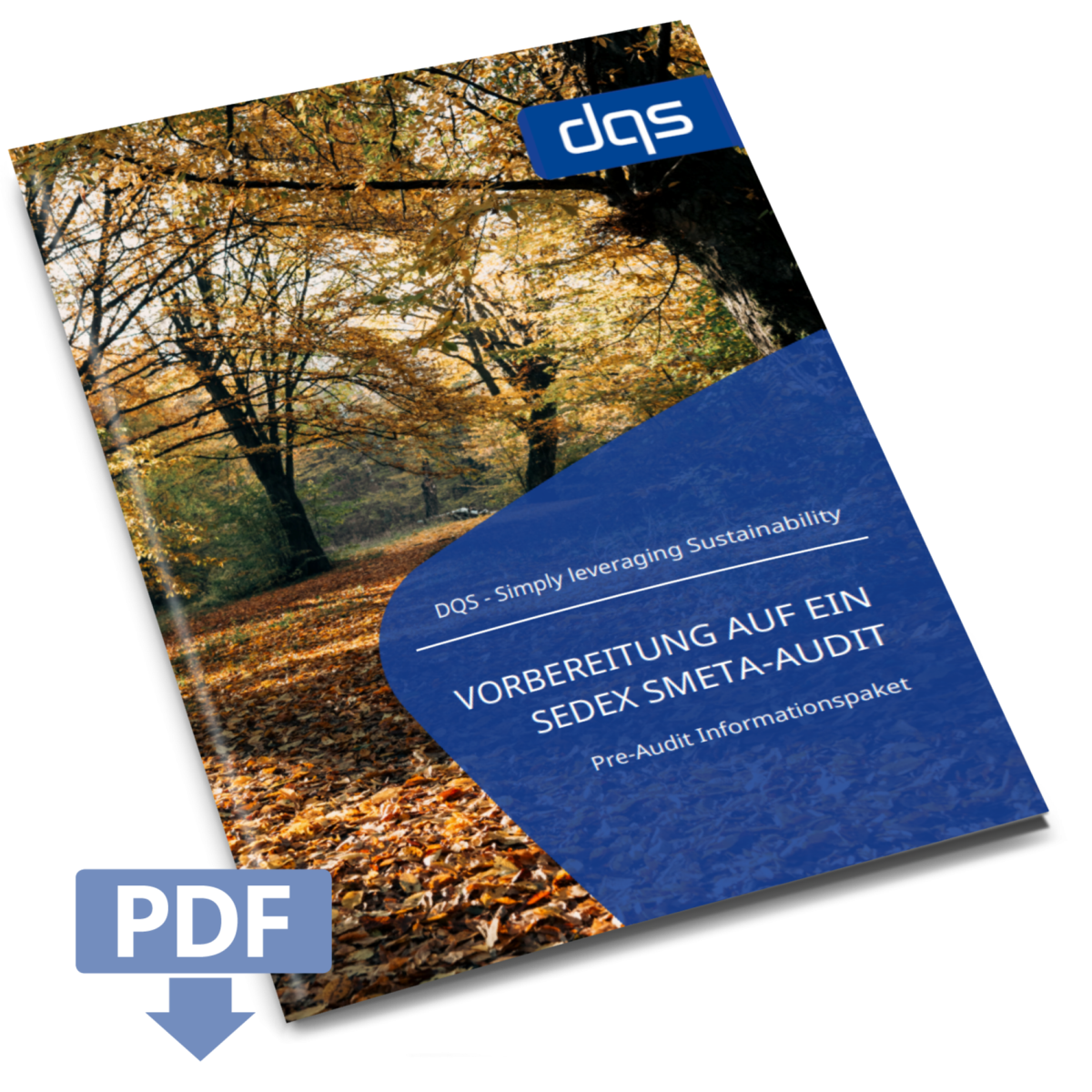 Sedex Whitepaper Vorschaubild Deutsch