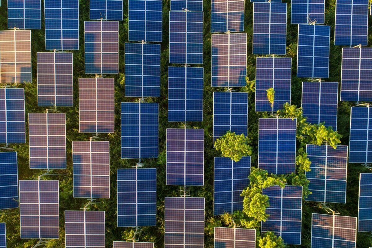 energy-related-investment-dqs-photovoltaic solar cells with green tree and sunlight
