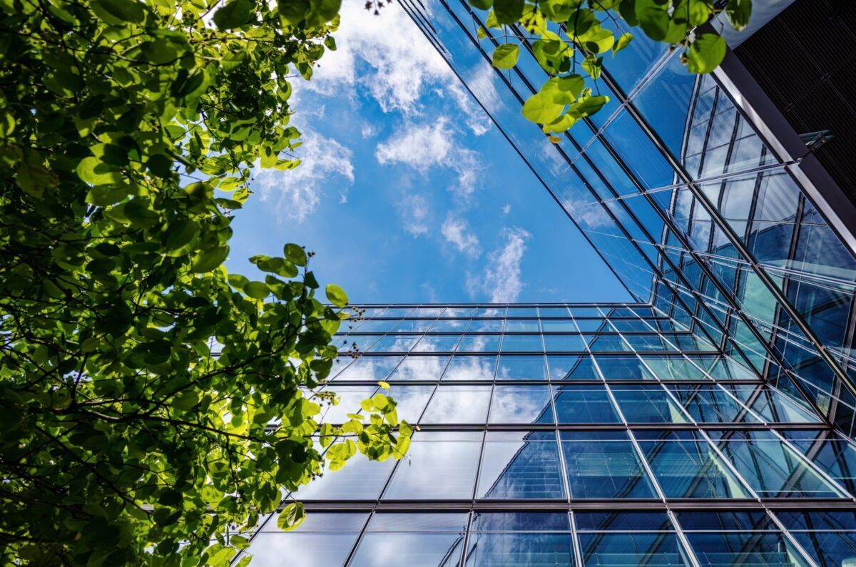 revision-iso-14001-dqs-view of office building with tree and sky