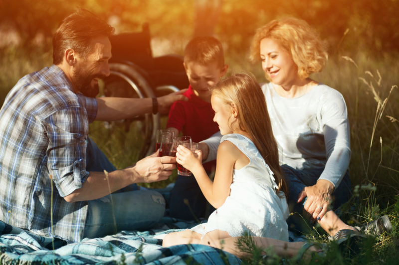 Family enjoying a picnic in a sunny field, diversity, inclusion, children, parents, accessibility, w